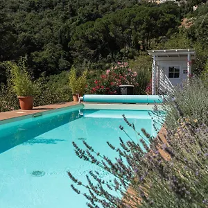 Shanti Yoga&meditation Appartamento